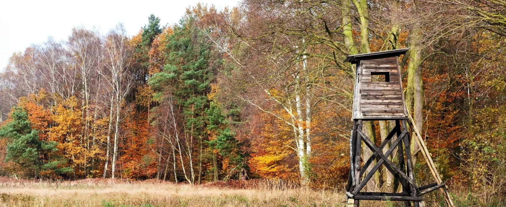 les-locaux-de-chasse-implantation