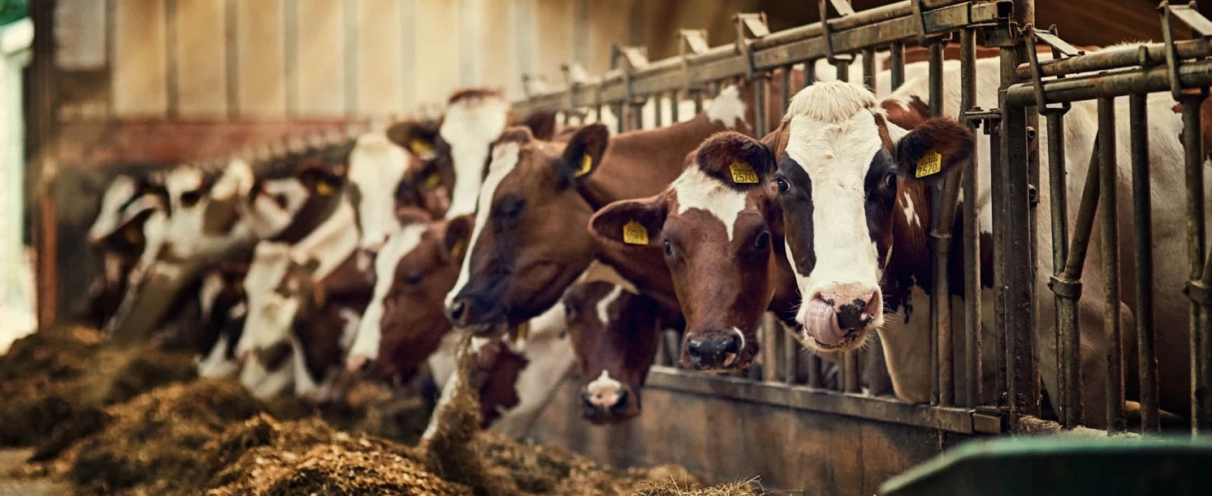 installations-agricoles