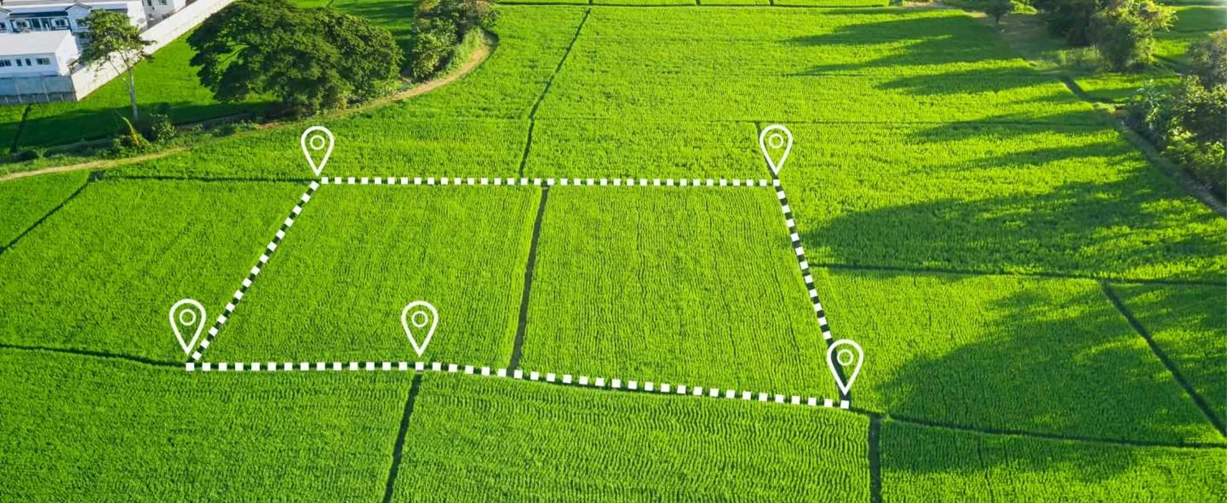 Zéro artificialisation nette et projets d’envergure nationale ou européenne