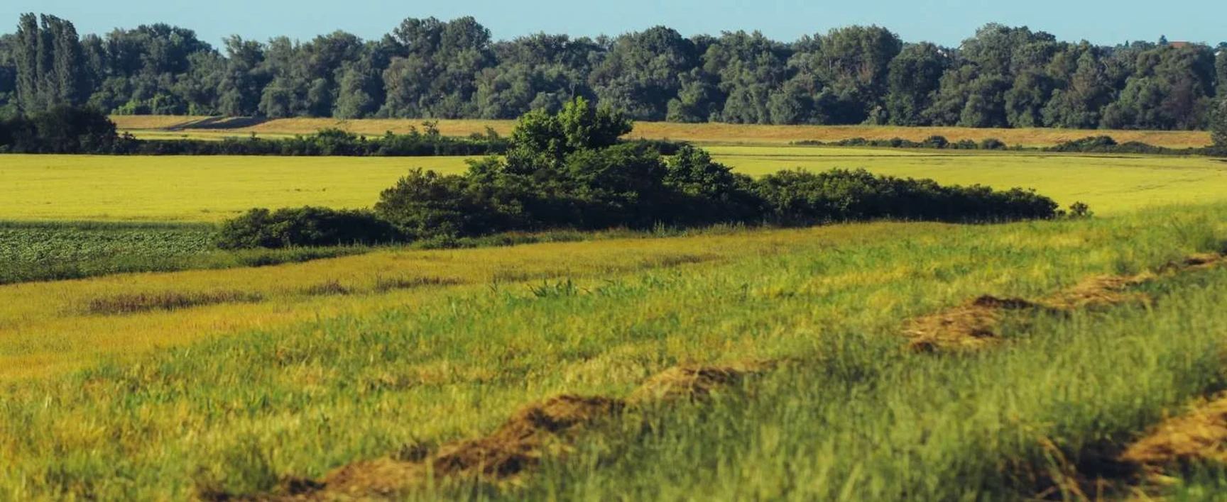 Déclassement de parcelles constructibles et indemnisation des propriétaires