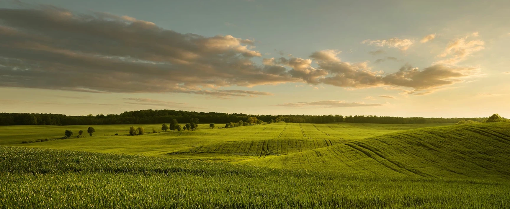 Artificialisations effectuées dans l’intérêt de plusieurs collectivités territoriales : des mutualisations possibles