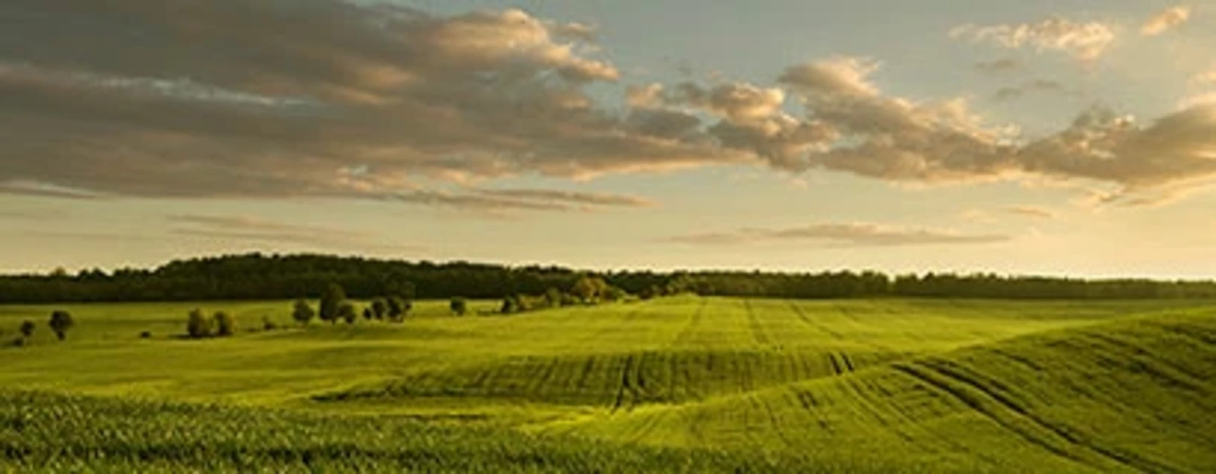 Serres agricoles et notion de surface de plancher