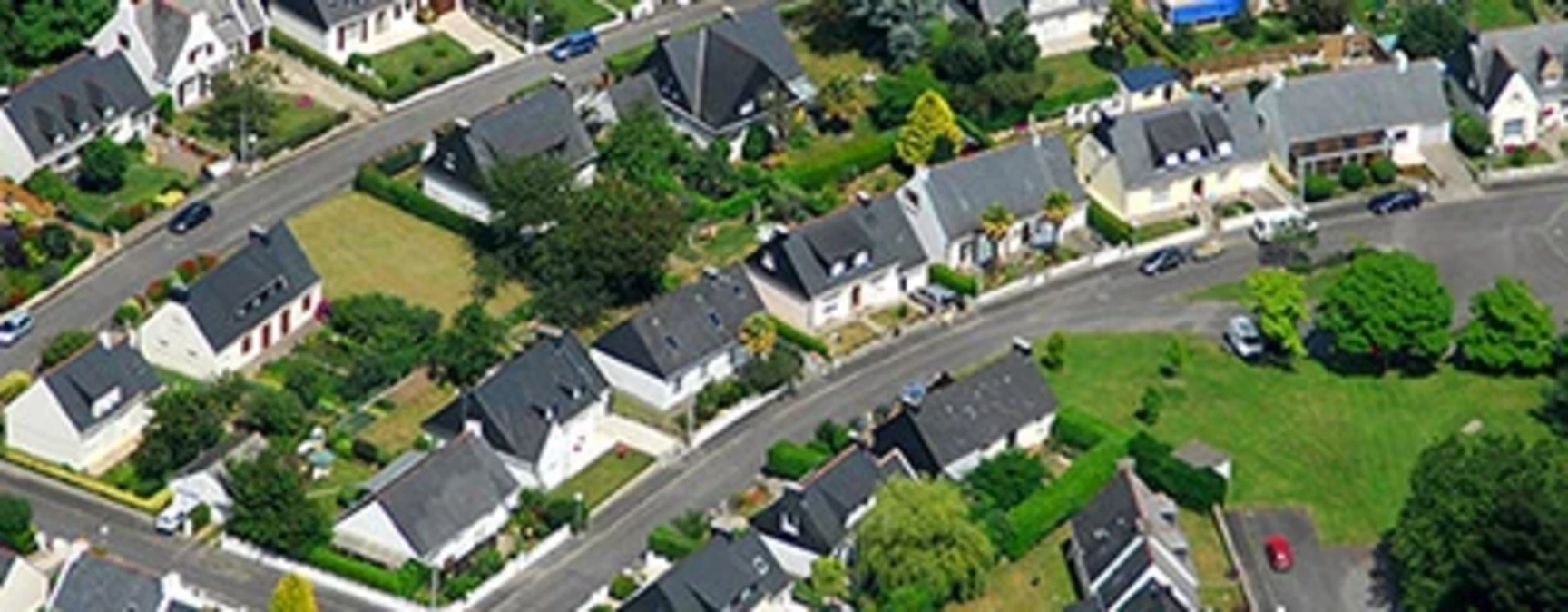 Quelles mesures pour lutter contre la mérule ?